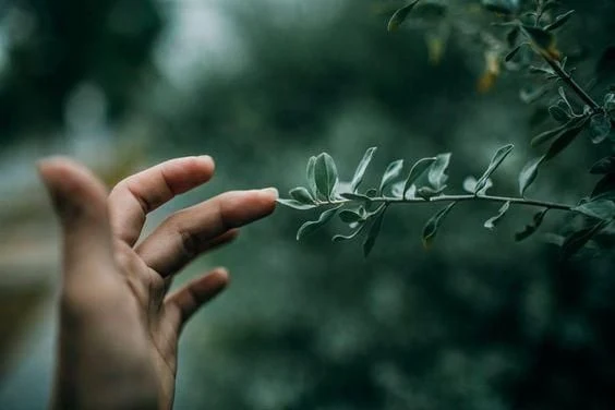 Góc kiến thức